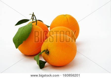 Bigstock orange paintings for advertising agencies and design companies