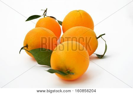 Bigstock orange paintings for advertising agencies and design companies