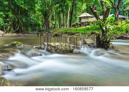 In the middle of the streamlet at Khao Laem National Park Kanchanaburi district Thailand.