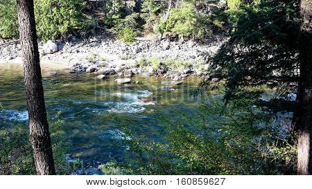 Similkameen river, flowing river surrounded by lush trees