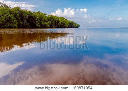 Caroni River mouth open sea through mangroves