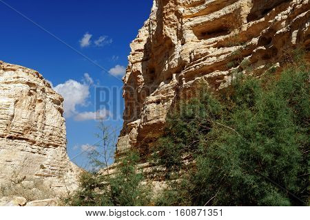 Scenic cliffs of Ein Avdat (Ein Ovdat) gorge in Israel