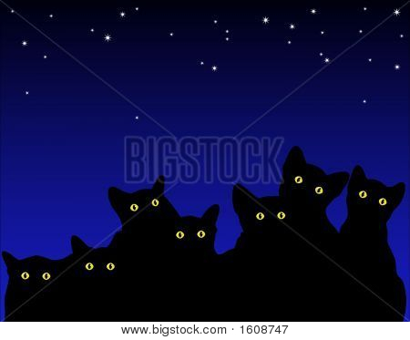 Katzenaugen