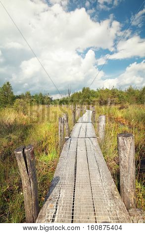 wooden path on swamp in summer Dwingelderveld Netherlands