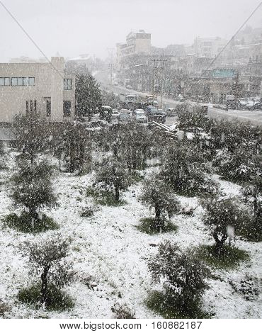 An olive tree grove, building and a highway during a snow blizzard in Lebanon.