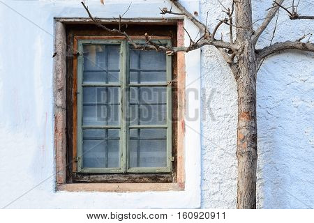Closed wooden window with autumn tree on white wall