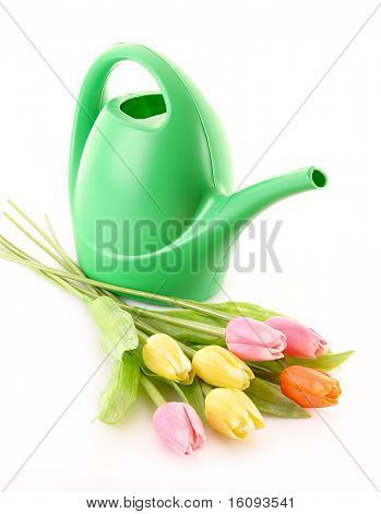 Bailer med blomst isoleret på hvid