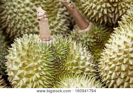 Durian
