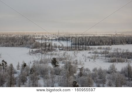 Winter landscape with forest in snow in the evening sunset. North