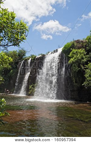The forest of the case mac mac river in the north of sabie, south africa
