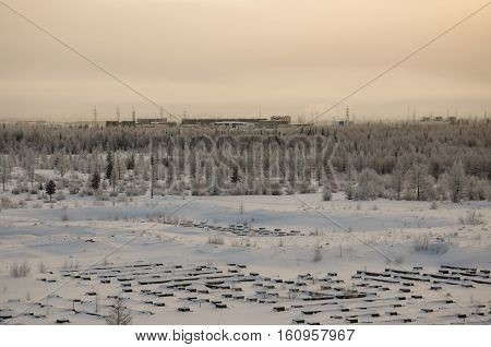Winter landskape with forest in snow in the evening sunset. North