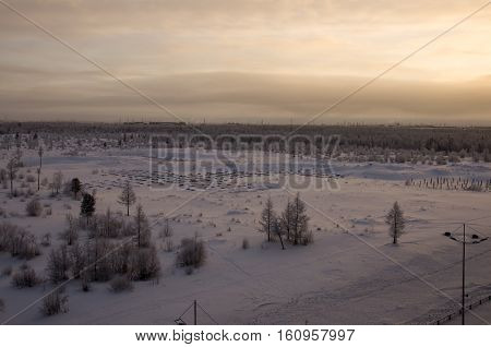 Winter landscape with forest in snow in the evening sunset. North