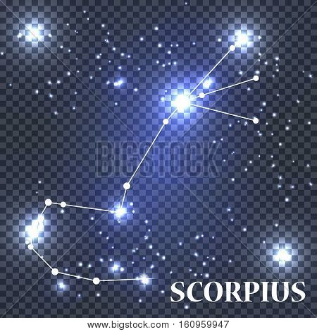 Symbol Scorpius Zodiac Sign. Vector Illustration EPS10