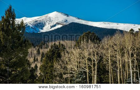 Winter Mountain Landscape at Angel Fire , New Mexico a Snow Covered Rocky Mountain scene with Aspen Trees in the foreground and a Perfect Winter in the Rockies Blue bird day