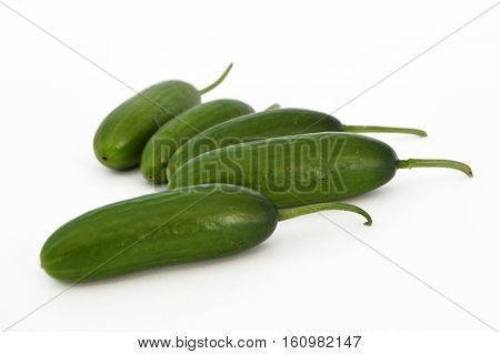 Pictures of fresh healthy silor salad on white and copy space stock photography