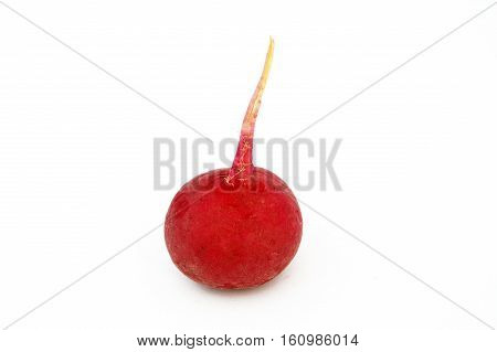 Suitable for food site advertisements radish, turnip, watermelon radish visual stock pictures