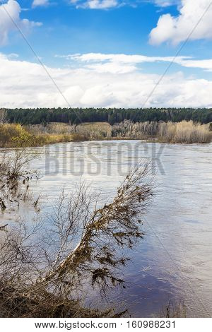 The spring flood on the river Berd. Novosibirsk oblast a district of Old Iskitim Siberia Russia