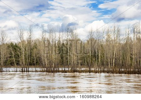 The spring flood on the river Berd. Novosibirsk oblast a district of Old Iskitim Siberia Russia