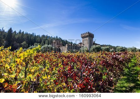 Autumn At The Castle