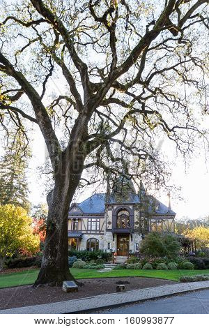 Beringer In Napa Valley, California
