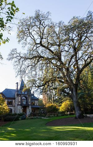 Beringer In Napa Valley, California