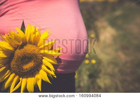 Pregnant woman in the field with sunflowers