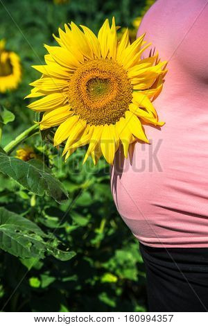 Pregnant woman in the field with sunflowers
