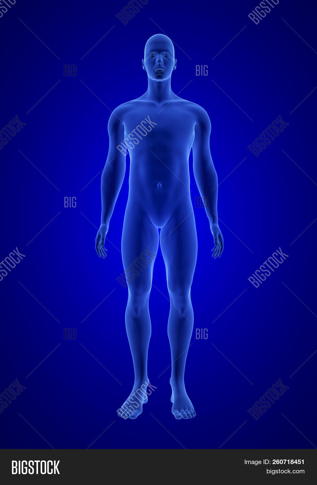 Blue Human Anatomy Image & Photo (Free Trial) | Bigstock