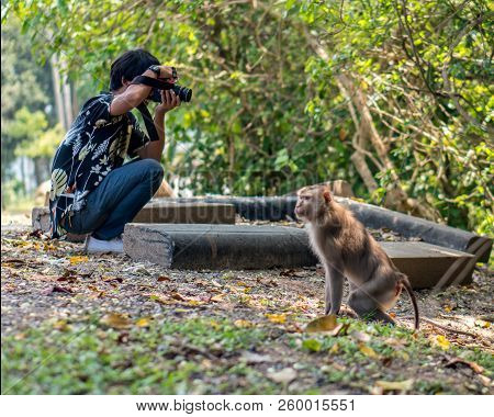 Funny Situation. Asian Man With Camera And Monkeys Or Macaque In Khao Yai National Park, Thailand
