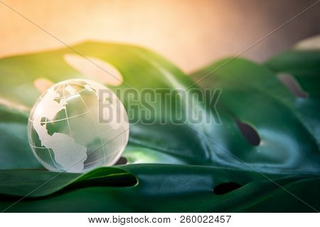World Globe Cystal Glass On Green Lush Leaf. Environmental Conservation. World Environment Day. Glob