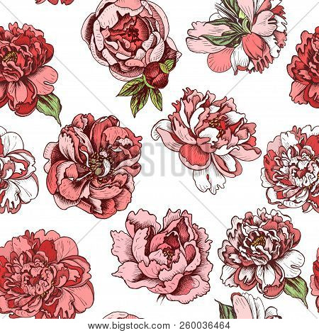 Vector Illustration Sketch - Card With Flowers Chrysanthemum, Peony. Pattern With Flowers. Dahlias, 