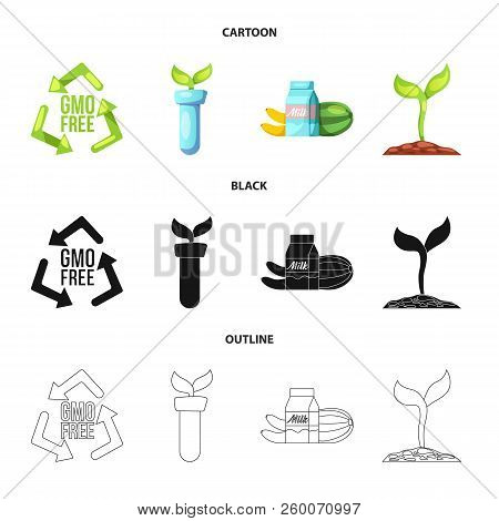 Vector Illustration Of  And  Symbol. Set Of  And  Stock Vector Illustration.