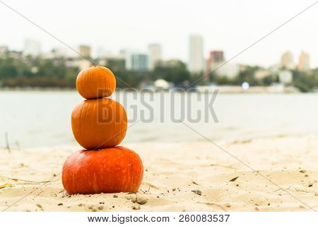 Pumpkin In Nature. Autumn Holiday Harvest Festival Halloween. Day Of The Dead. Hallowmas
