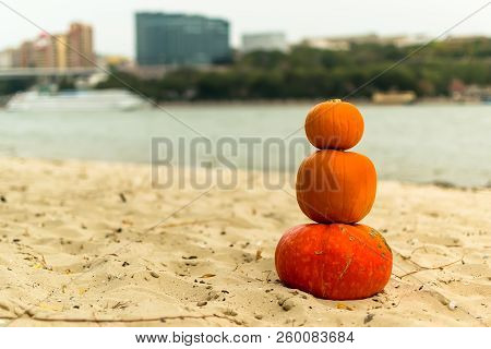 Pumpkin In Nature. Autumn Holiday Harvest Festival Halloween. Day Of The Dead. Hallowmas