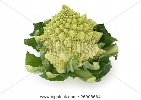 Romanesco Brokkoli, römische Blumenkohl, auf weißem Hintergrund