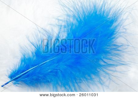 흰색과 파란색 깃털 배경