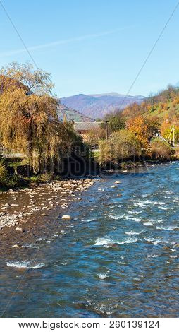 Autumn Carpathian Mountain White Tysa River Landscape With Multicolored Yellow-orange-red-brown Tree