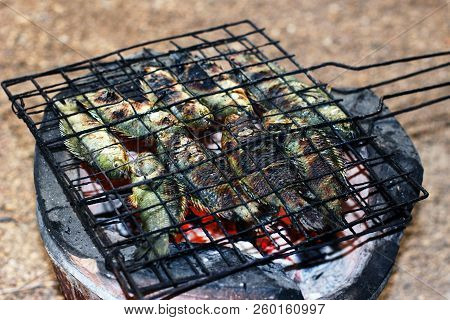 Grilled Fish, Thai Food Style Cooking Grilled Climbing Perch Fish On Grate On Charcoal Stove, Asia F