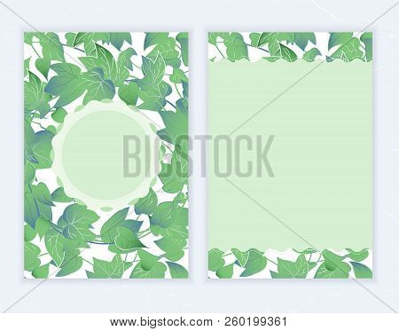 Green Ivy Leaves Invitation Card Template Design