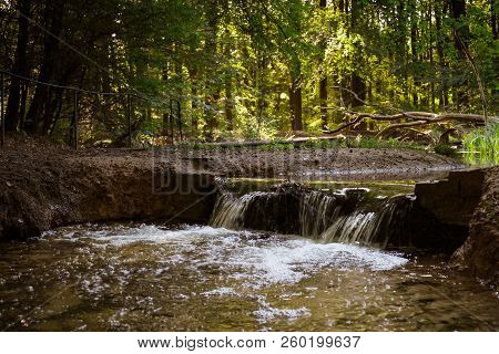 Swampy Forest With Sunbeams, Flowing Streams And Autumn Colors
