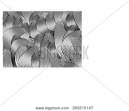 Modern Abstract Geometric Black And White Background With Curved Lines.
