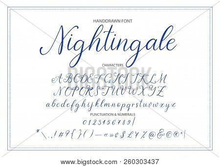 Nightingale. Handdrawn Calligraphic Vector Font. Modern Gentle Calligraphy.