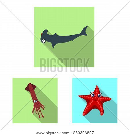 Vector Design Of Sea And Animal Icon. Set Of Sea And Marine Vector Icon For Stock.