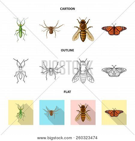 Vector Design Of Insect And Fly Sign. Set Of Insect And Element Vector Icon For Stock.