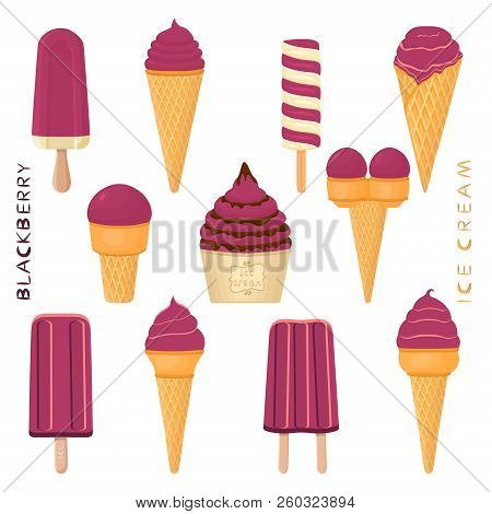 Vector Illustration For Natural Blackberry Ice Cream On Stick, In Paper Bowls, Wafer Cones. Ice Crea