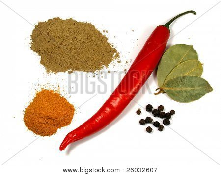 후추와 양념