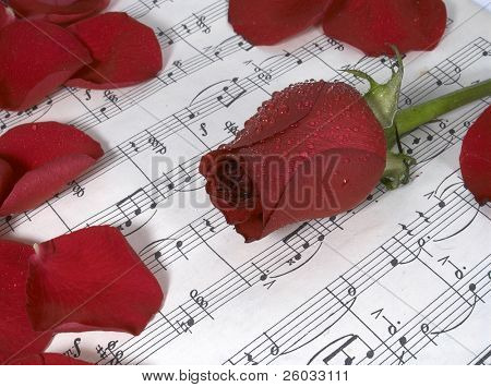 Rød rose på notesheet