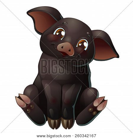 The Cute Black Pig Sits On White