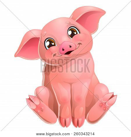 The Cute Pink Pig Sits On White