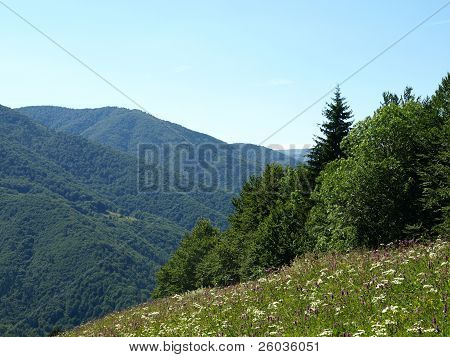 Été à la montagne
